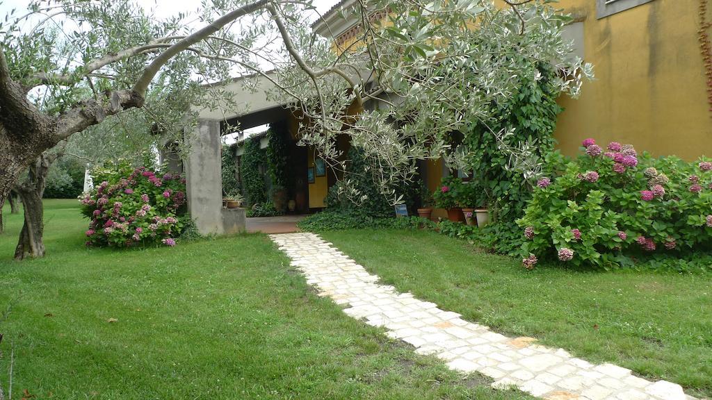 Le Ninfee Bed & Breakfast Cassino Exterior photo